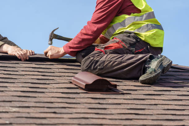 Best Roof Gutter Cleaning  in Fostoria, OH