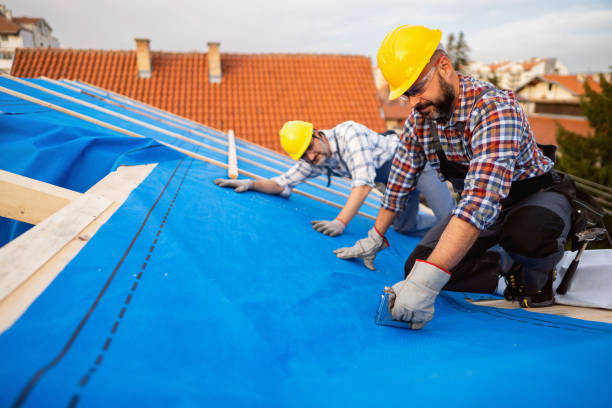 Best Roof Gutter Cleaning  in Fostoria, OH